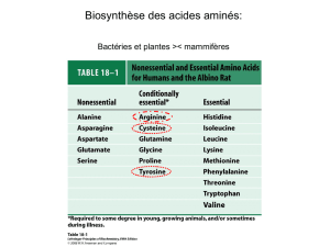 Biosynthèse des acides aminés
