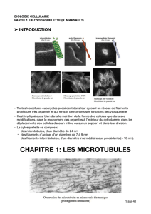 les microtubules