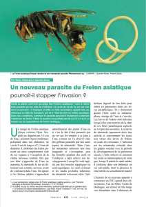 Un nouveau parasite du frelon asiatique... / Insectes n° 178