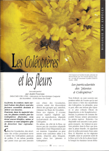 Les Coléoptères et les fleurs / insectes n° 102