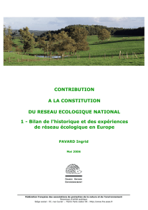 PAVARD I., mai 2006 – Contribution à la constitution du Réseau