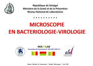 Microscopie en bacteriologie