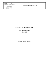 COFFRET DE DECOUPLAGE : GTE 2666 type 1.3 (ou H3)