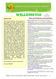 Willemetia 87