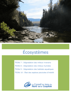 Dégradation des écosystèmes riverains