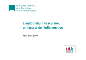 En savoir plus... L`endothélium vasculaire, un facteur de l`inflammation