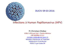 Infections à Human Papillomavirus (HPV)