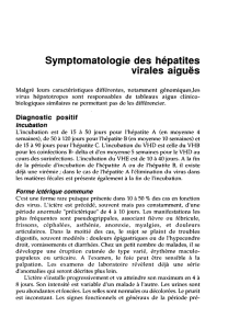 Symptomatologie des hépatites virales aiguës