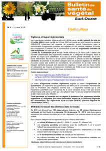 BSV Horticulture N°5 du 22/05/2015