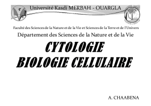 Introduction à la Biologie Cellulaire