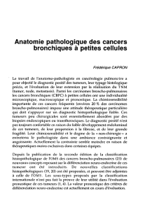 Anatomie pathologique des cancers bronchiques à petites cellules