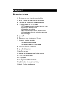 chap5.-neurophysiolo.. - patrickjjdaganaud.com