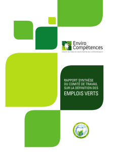 Rapport synthèse sur la définition des emplois verts