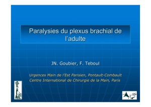 Paralysie plexus brachial adulte JN. Goubier