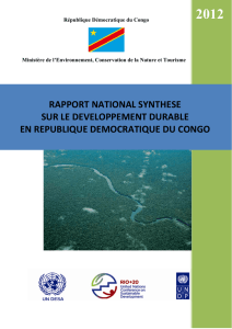 rapport national synthese sur le developpement durable en