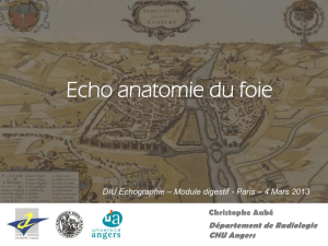 Echo anatomie du foie