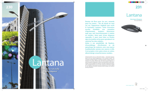 Lantana - Ragni Lighting