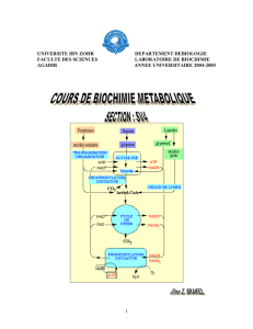 METABOLISME CELLULAIRE