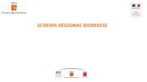Schéma régional biomasse. Région PACA, N. OUDART