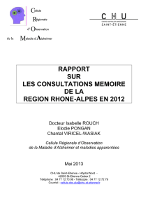 RAPPORT CM 2012 maj 07 juillet 01 ENTIER - CHU de Saint