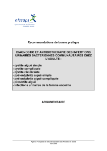 RBP/antibiothérapie - infections urinaires chez l`adulte