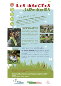 Les insectes jardiniers - L`atelier des sciences - Saint-Quentin