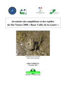 Inventaire des amphibiens et des reptiles du Site Natura 2000