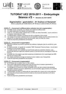 TUTORAT UE2 2010-2011 – Embryologie