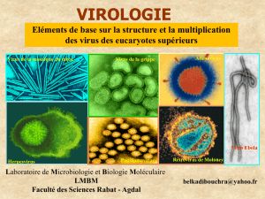 Chap1 - Faculté des Sciences de Rabat