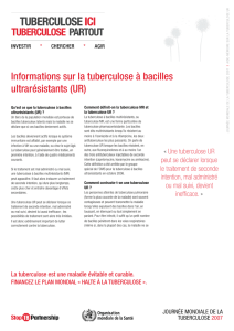 Informations sur la tuberculose à bacilles