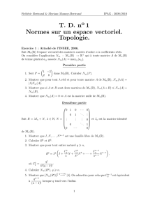 TD n 1 Normes sur un espace vectoriel. Topologie.