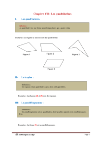 Chapitre VII : Les quadrilatères