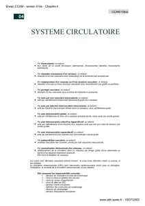 SYSTEME CIRCULATOIRE