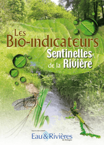 Bio-indicateurs - Educatif eau et rivières