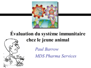 Évaluation du système immunitaire chez le jeune animal