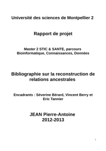 Rapport de projet Bibliographie sur la reconstruction de relations