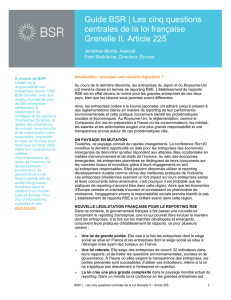 Guide BSR | Les cinq questions centrales de la loi française
