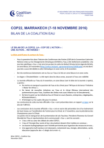 COP22, MARRAKECH (7-18 NOVEMBRE 2016)
