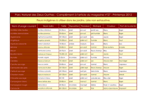 Fleurs indigènes à utiliser dans les jardins. Liste non exhaustive