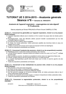TUTORAT UE 5 2014-2015 – Anatomie générale