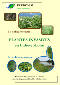 PLANTES INVASIVES en Indre-et-Loire