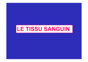 LE TISSU SANGUIN