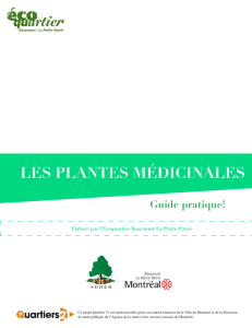 les plantes médicinales