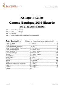 Liste illustrée 2 - Kokopelli Suisse