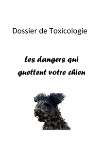 Dossier de Toxicologie - Joel Kuhlmann