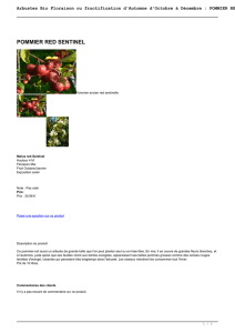Arbustes Bio Floraison ou fructification d`Automne d`Octobre à