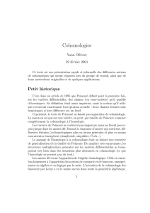 Cohomologies - Yann Ollivier