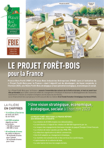 120710_Dossier de presse_Projet Foret-Bois