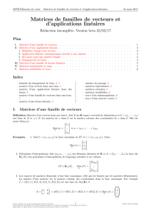 Matrices de familles de vecteurs et d`applications linéaires