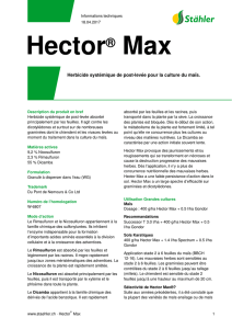 Hector® Max - Stähler Suisse SA